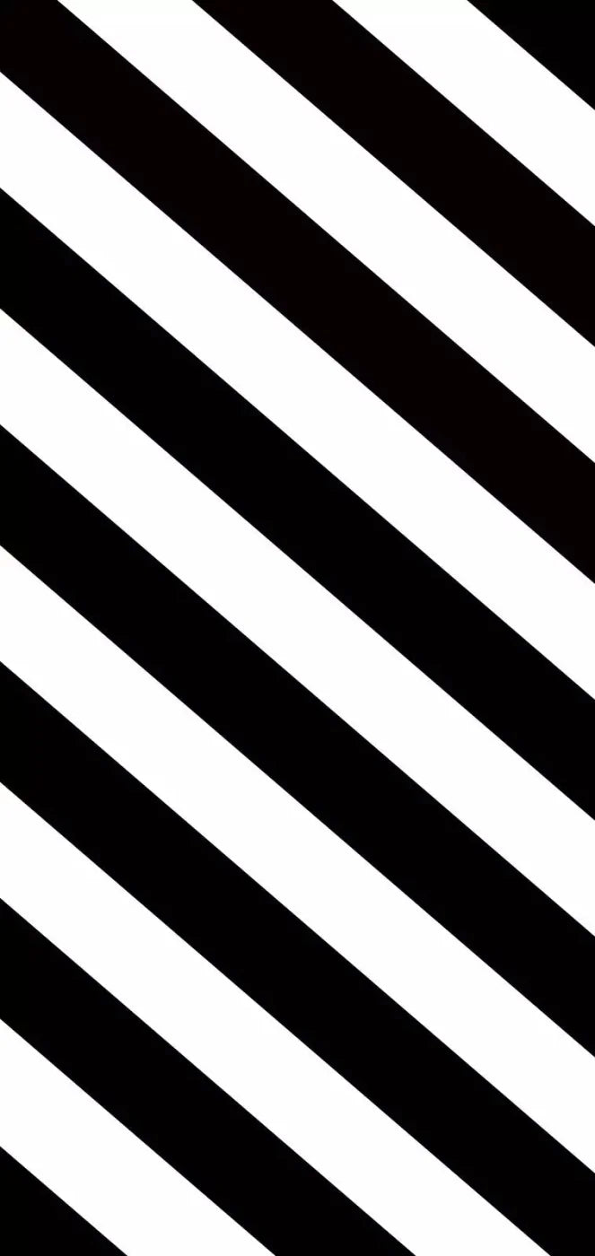 Black And White 8X16 Ultracloth ( 96 X 192 Inch ) Backdrop