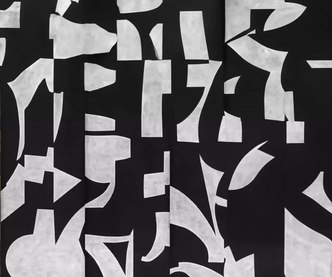 Black And White Abstract 5’X4’2 Fleece (60 X 50 Inch) Backdrop