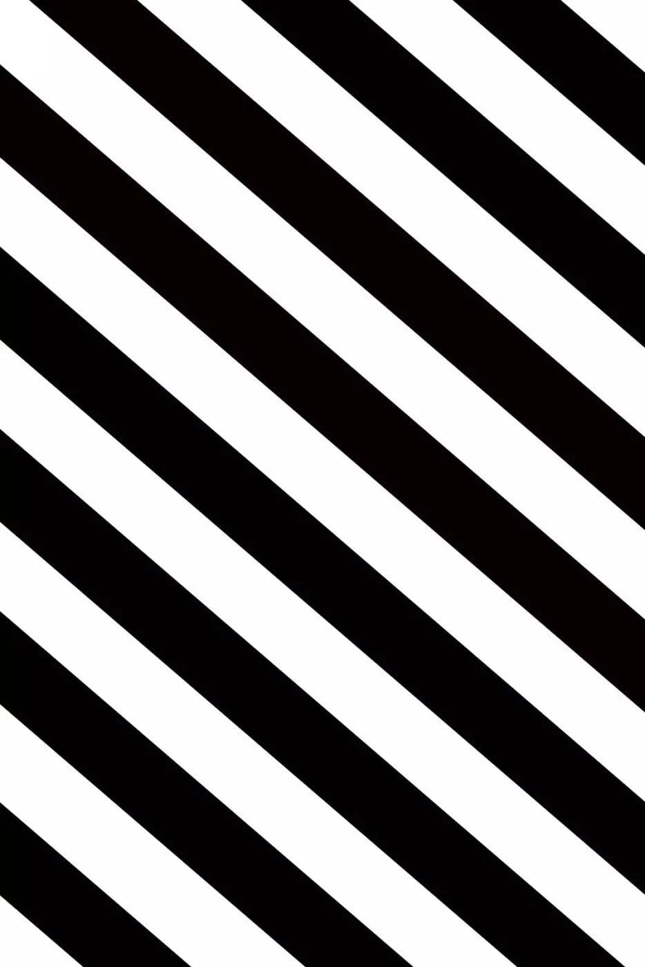 Black And White 5X76 For Lvl Up Backdrop System ( 60 X 90 Inch )