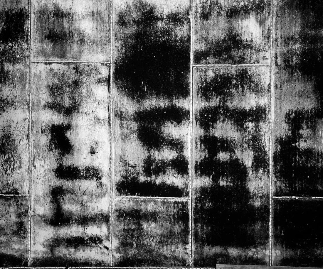 Black Wood Backdrop for Photography