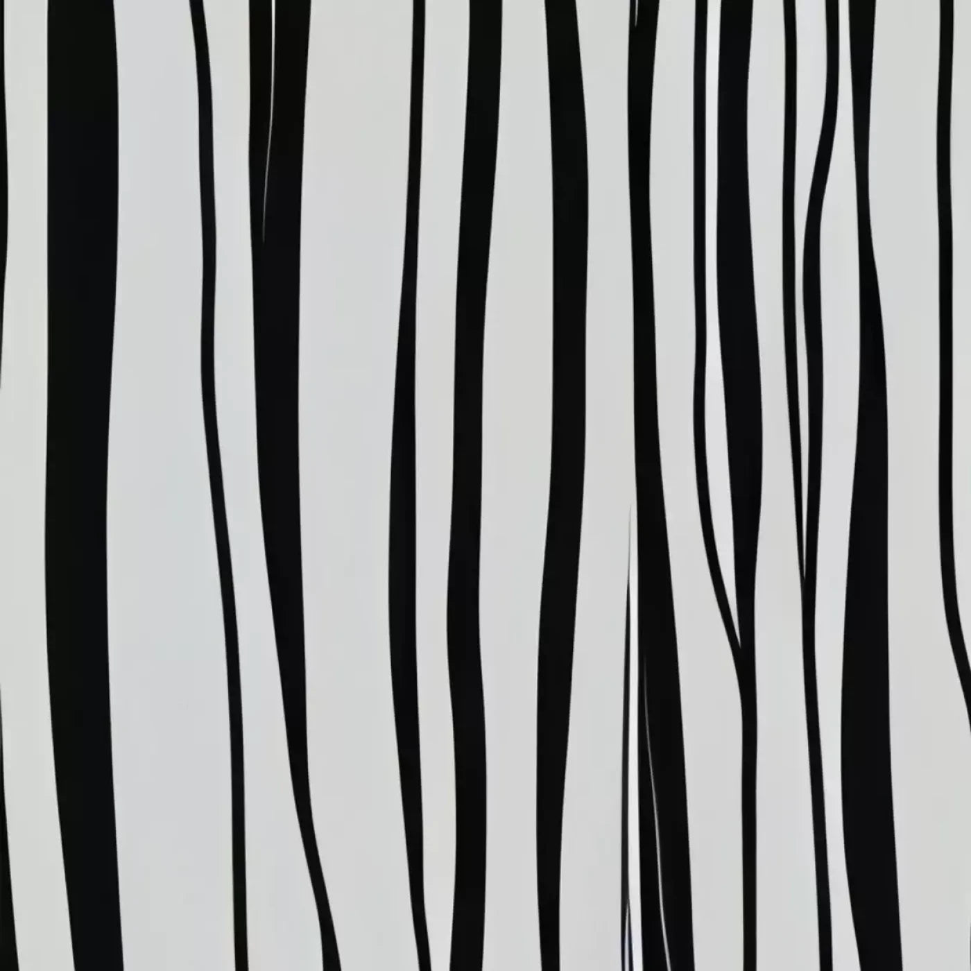 Black And White Print 10’X10’ Ultracloth (120 X Inch) Backdrop