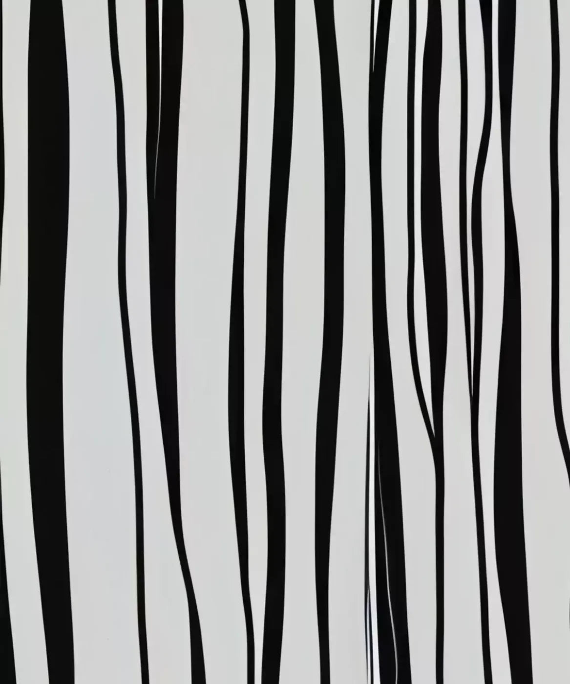 Black And White Print 10’X12’ Ultracloth (120 X 144 Inch) Backdrop