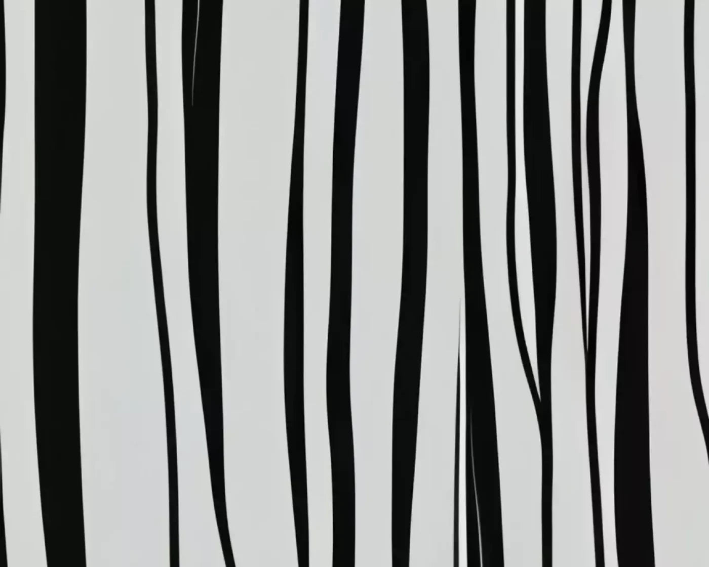 Black And White Print 10’X8’ Fleece (120 X 96 Inch) Backdrop