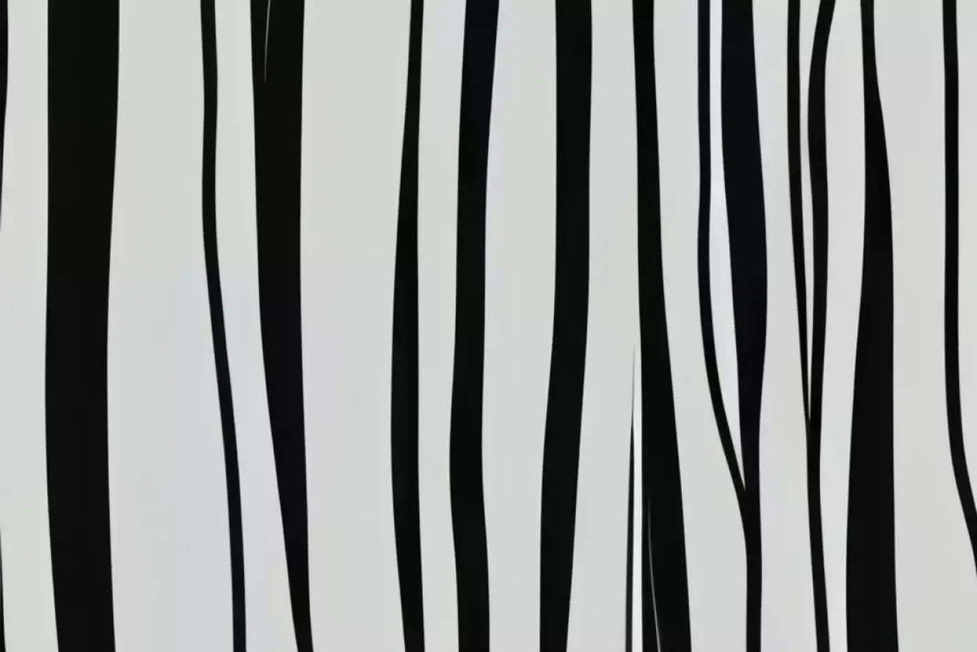 Black And White Print 12’X8’ Ultracloth (144 X 96 Inch) Backdrop