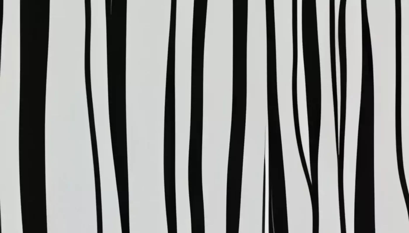 Black And White Print 14’X8’ Ultracloth (168 X 96 Inch) Backdrop