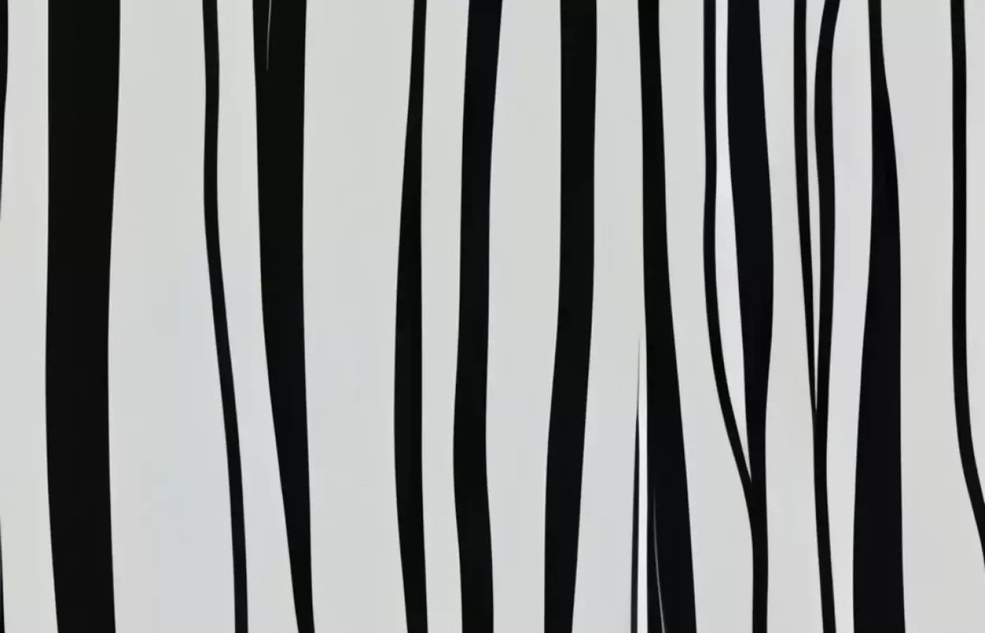 Black And White Print 14’X9’ Ultracloth (168 X 108 Inch) Backdrop