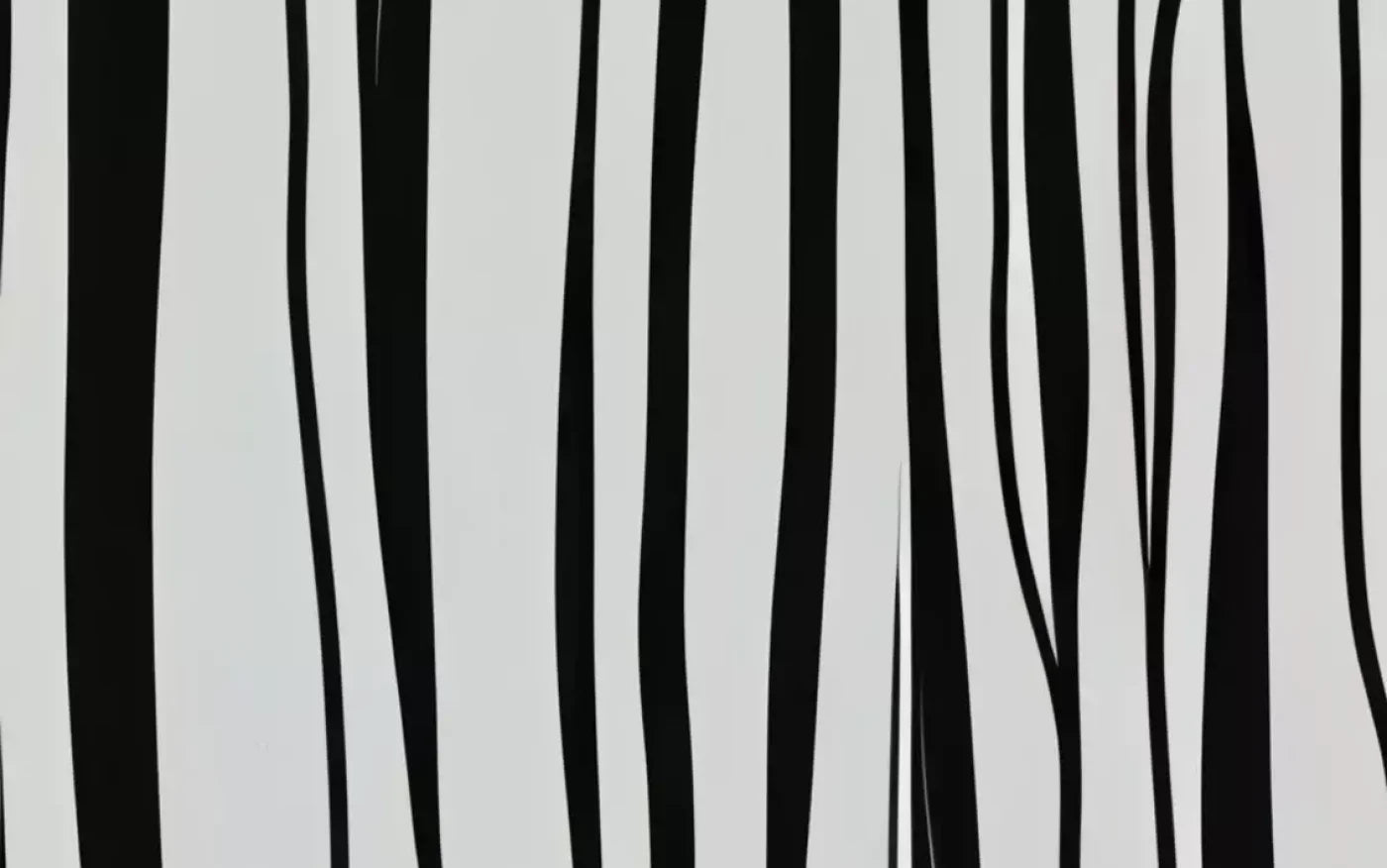 Black And White Print 16’X10’ Ultracloth (192 X 120 Inch) Backdrop