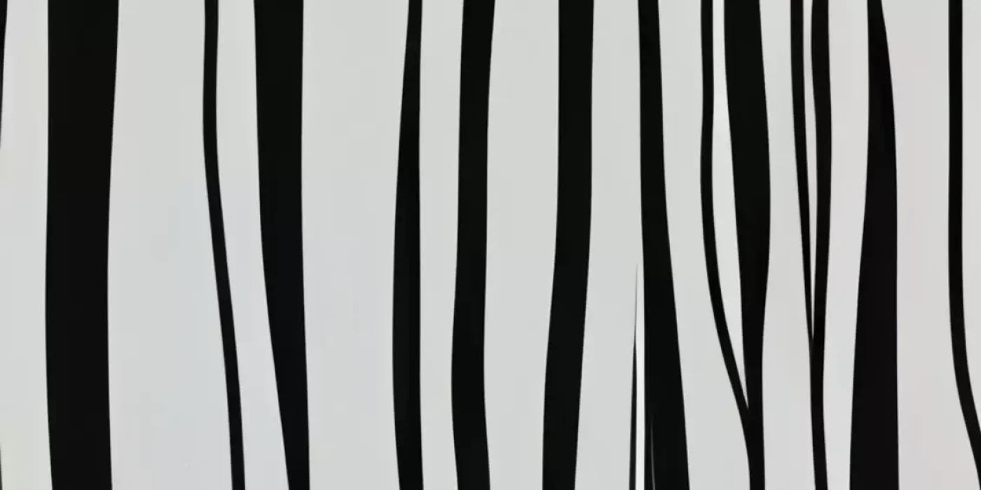Black And White Print 20’X10’ Ultracloth (240 X 120 Inch) Backdrop