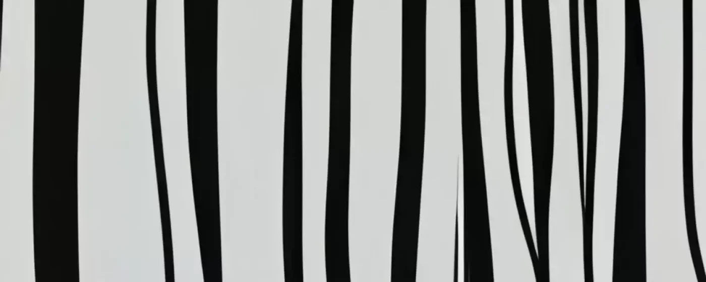 Black And White Print 20’X8’ Ultracloth (240 X 96 Inch) Backdrop
