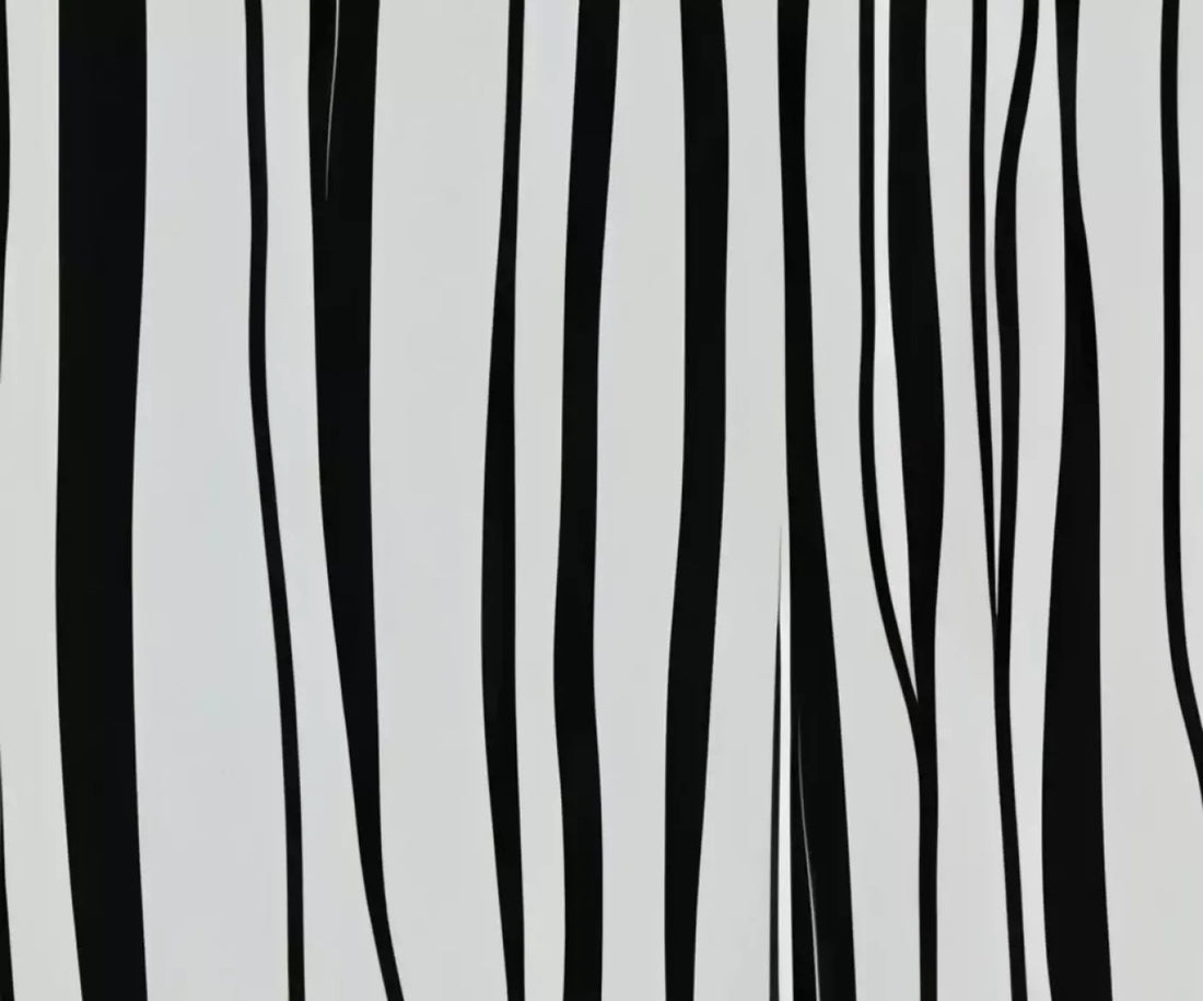 Black And White Print 5’X4’2 Fleece (60 X 50 Inch) Backdrop