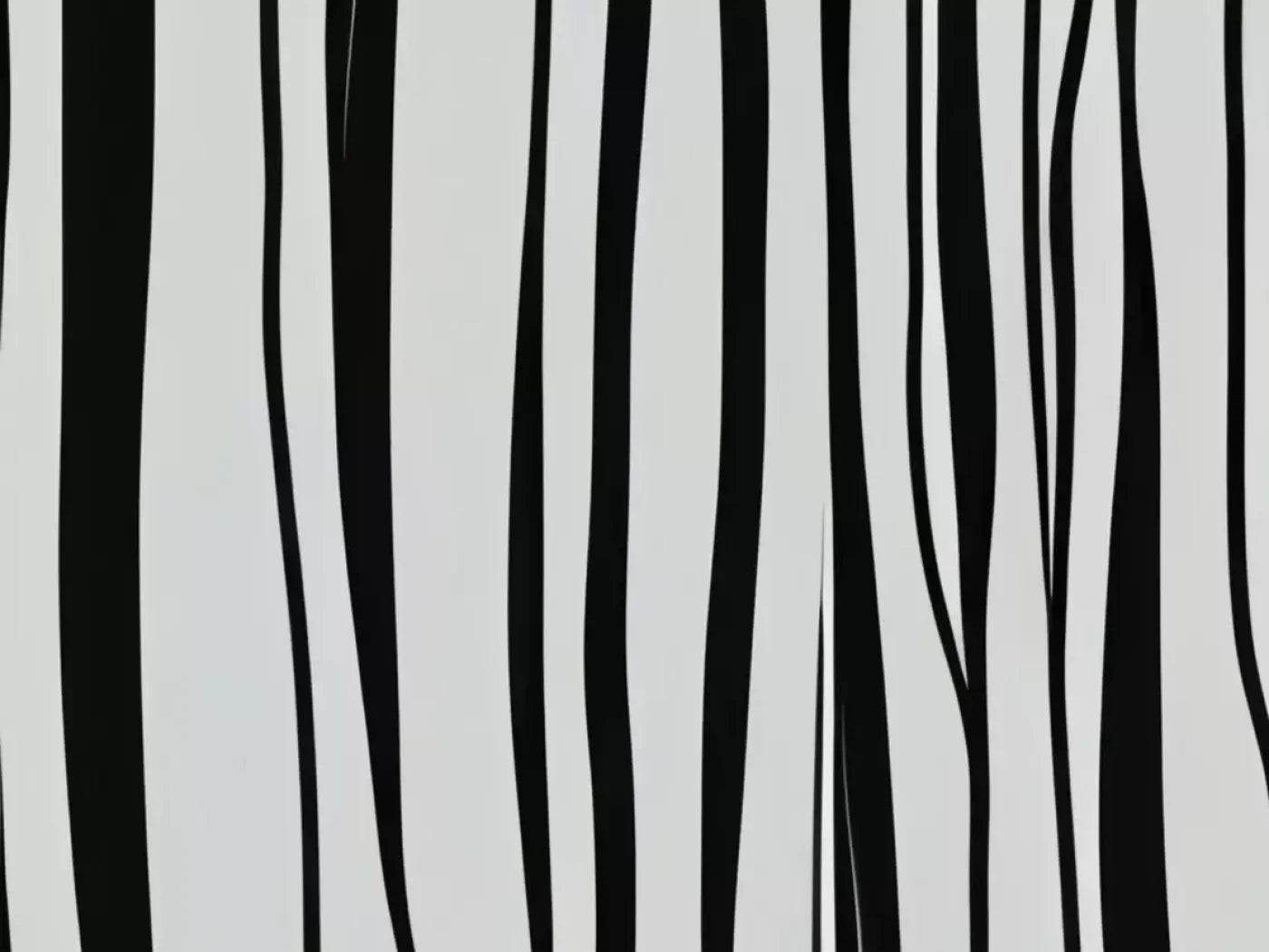 Black And White Print 6’8X5’ Fleece (80 X 60 Inch) Backdrop