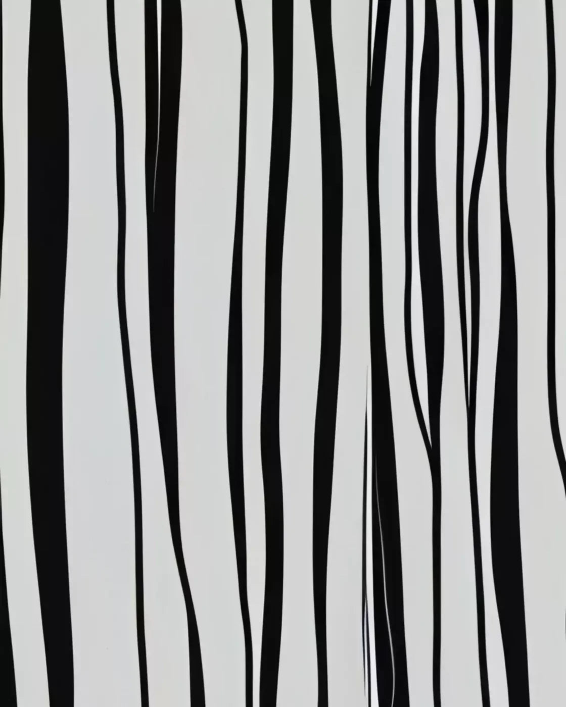 Black And White Print 8’X10’ Fleece (96 X 120 Inch) Backdrop