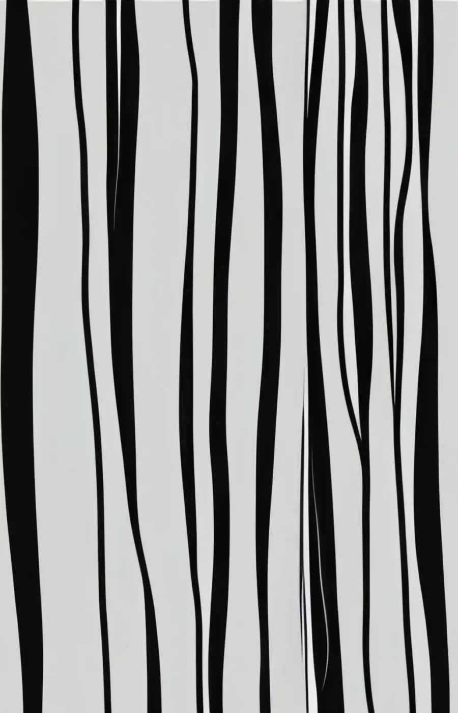 Black And White Print 9’X14’ Ultracloth (108 X 168 Inch) Backdrop