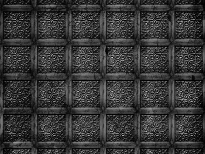 Blacktin 10X8 Fleece ( 120 X 96 Inch ) Backdrop