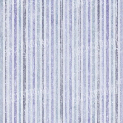 Blaine 10X10 Ultracloth ( 120 X Inch ) Backdrop