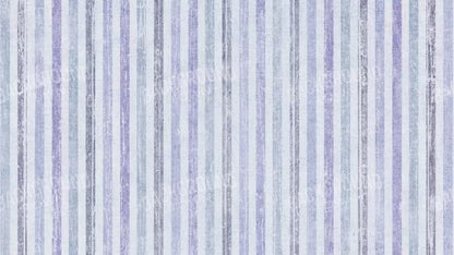 Blaine 14X8 Ultracloth ( 168 X 96 Inch ) Backdrop