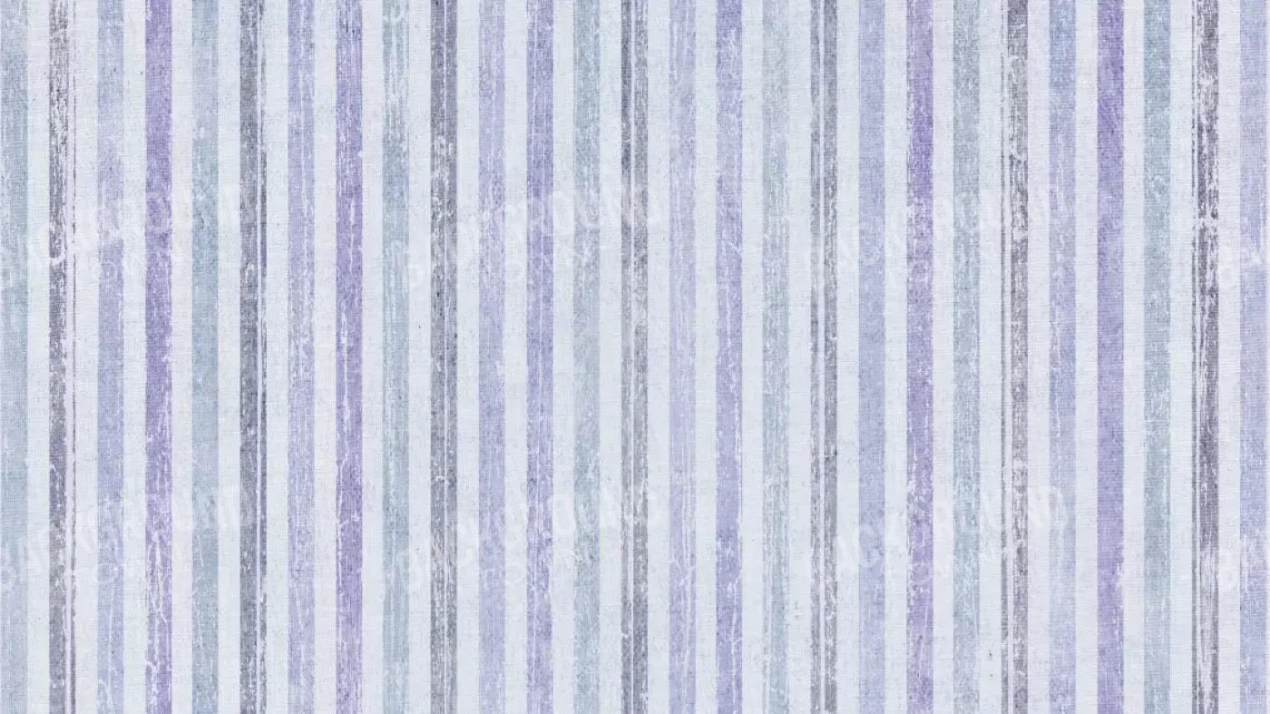 Blaine 14X8 Ultracloth ( 168 X 96 Inch ) Backdrop