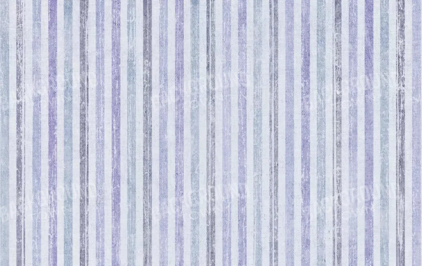 Blaine 16X10 Ultracloth ( 192 X 120 Inch ) Backdrop