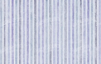 Blaine 16X10 Ultracloth ( 192 X 120 Inch ) Backdrop