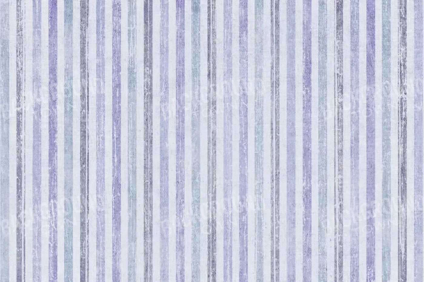 Blaine 8X5 Ultracloth ( 96 X 60 Inch ) Backdrop