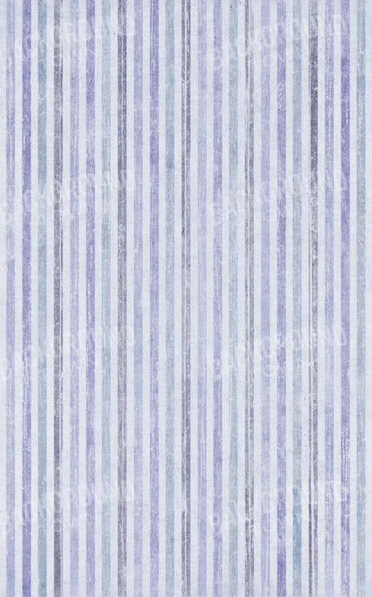 Blaine 9X14 Ultracloth ( 108 X 168 Inch ) Backdrop