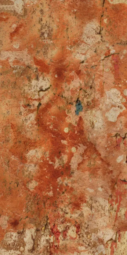 Blight 10X20 Ultracloth ( 120 X 240 Inch ) Backdrop