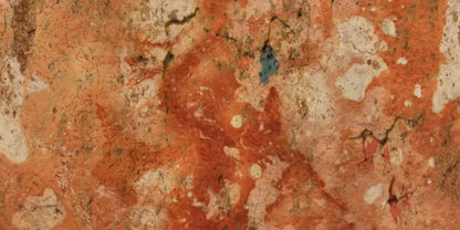 Blight 20X10 Ultracloth ( 240 X 120 Inch ) Backdrop