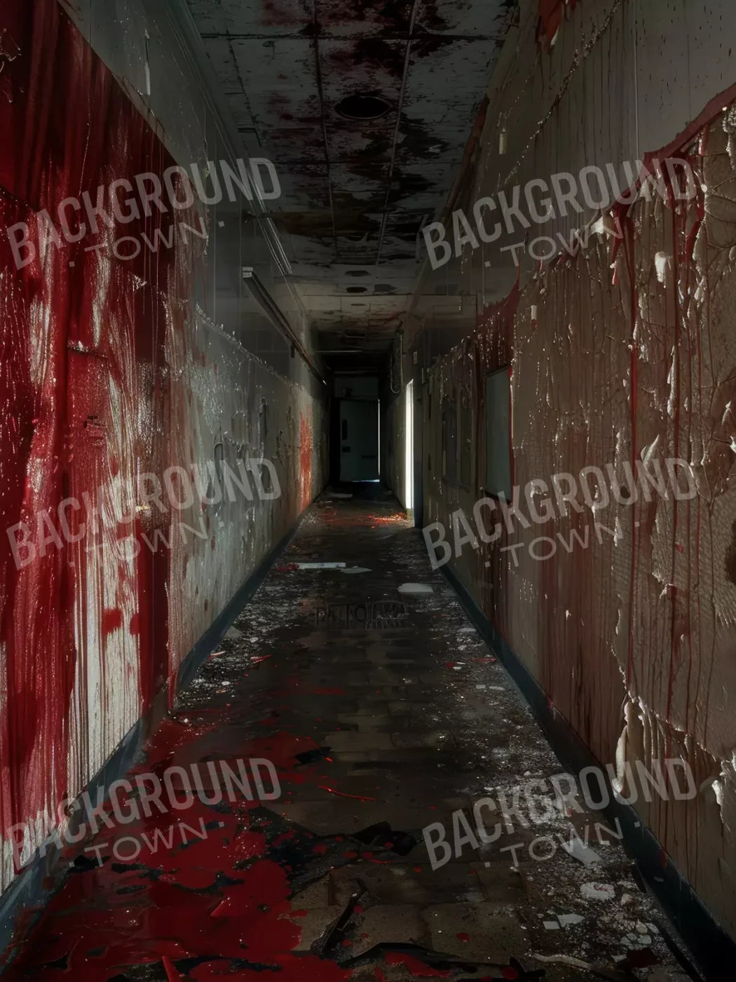 Bloody Institution Hallway Iv 5’X6’8 Fleece (60 X 80 Inch) Backdrop