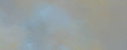 Blue Old Master 20’X8’ Ultracloth (240 X 96 Inch) Backdrop
