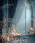Sparkling Window Backdrop for Photography