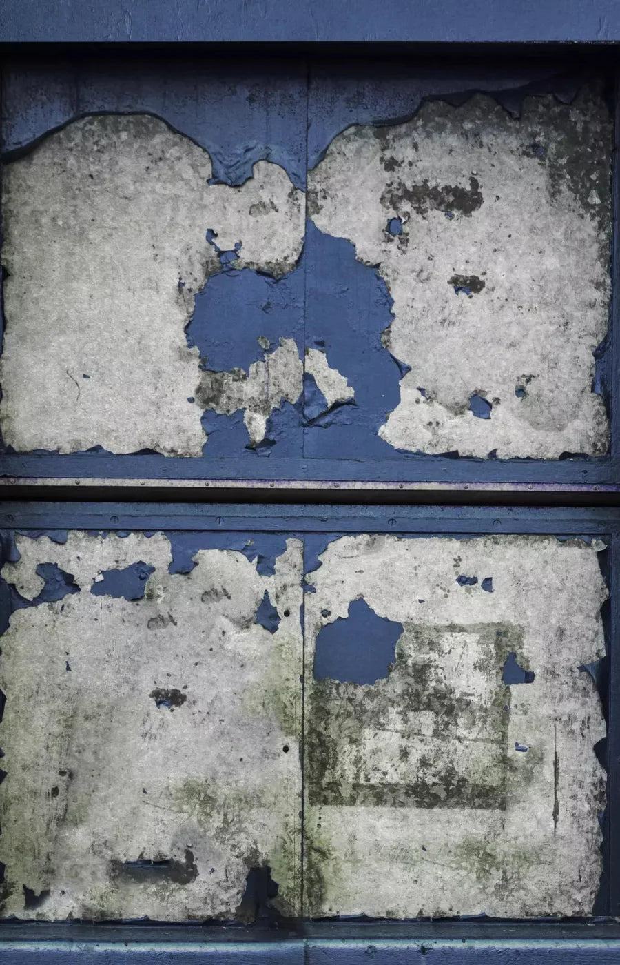 Blueberry Rum 8X12 Ultracloth ( 96 X 144 Inch ) Backdrop