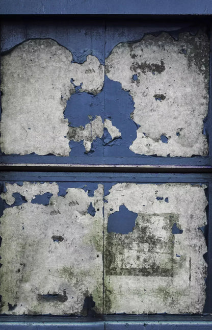 Blueberry Rum 8X12 Ultracloth ( 96 X 144 Inch ) Backdrop