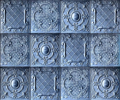 Blueboy 5X42 Fleece ( 60 X 50 Inch ) Backdrop