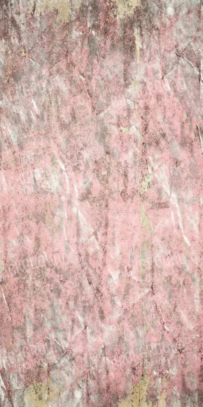 Blush 10X20 Ultracloth ( 120 X 240 Inch ) Backdrop