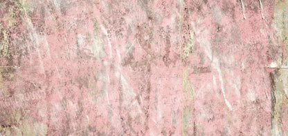 Blush 16X8 Ultracloth ( 192 X 96 Inch ) Backdrop