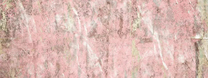 Blush 20X8 Ultracloth ( 240 X 96 Inch ) Backdrop