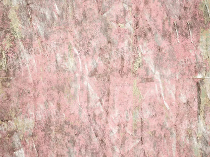 Blush 68X5 Fleece ( 80 X 60 Inch ) Backdrop