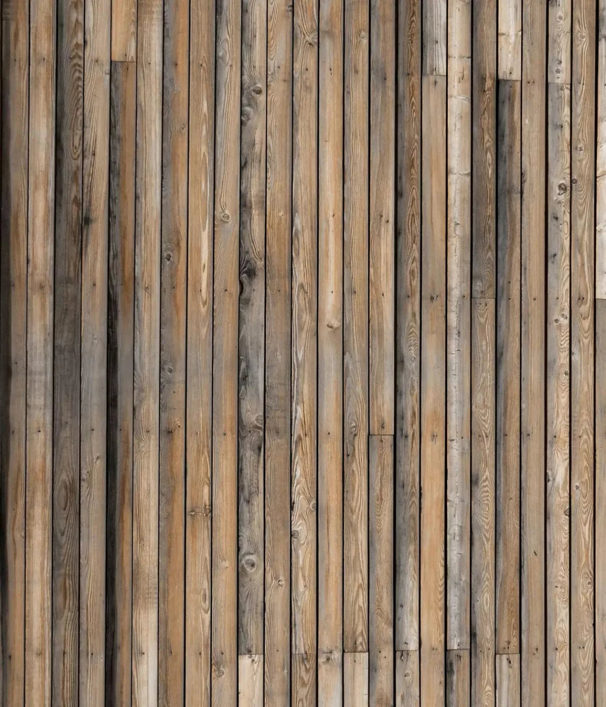 Boat Deck 10X12 Ultracloth ( 120 X 144 Inch ) Backdrop