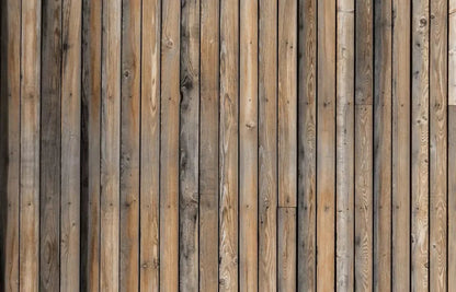 Boat Deck 12X8 Ultracloth ( 144 X 96 Inch ) Backdrop
