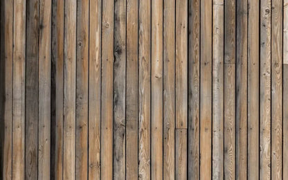 Boat Deck 14X9 Ultracloth ( 168 X 108 Inch ) Backdrop
