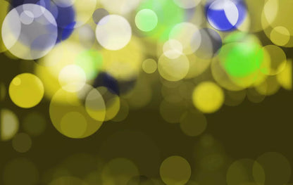 Bokeh Sunlight 16X10 Ultracloth ( 192 X 120 Inch ) Backdrop