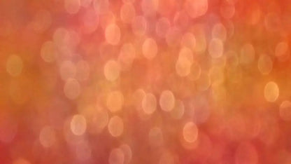 Bold 14X8 Ultracloth ( 168 X 96 Inch ) Backdrop