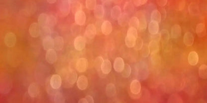 Bold 20X10 Ultracloth ( 240 X 120 Inch ) Backdrop