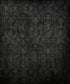 Black Damask Backdrop for Photography