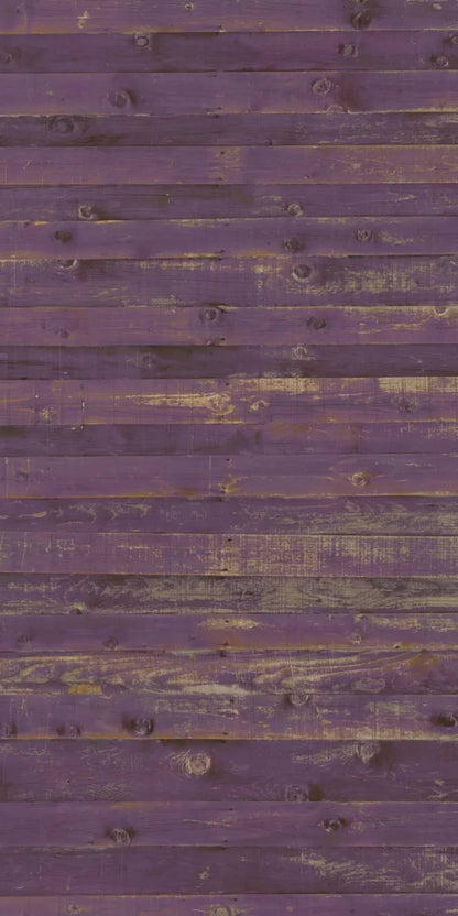 Border 10X20 Ultracloth ( 120 X 240 Inch ) Backdrop
