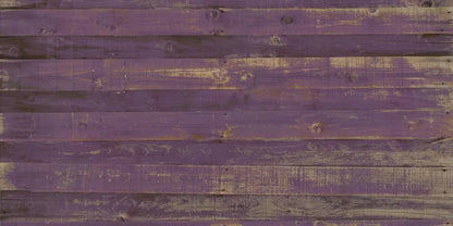 Border 20X10 Ultracloth ( 240 X 120 Inch ) Backdrop