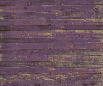 Border 5X42 Fleece ( 60 X 50 Inch ) Backdrop