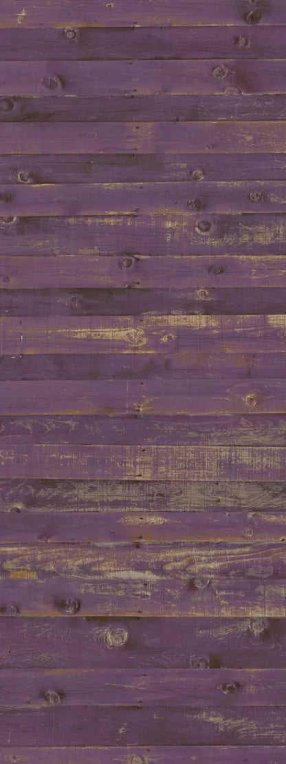 Border 8X20 Ultracloth ( 96 X 240 Inch ) Backdrop