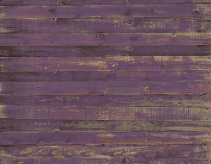 Border 8X6 Fleece ( 96 X 72 Inch ) Backdrop