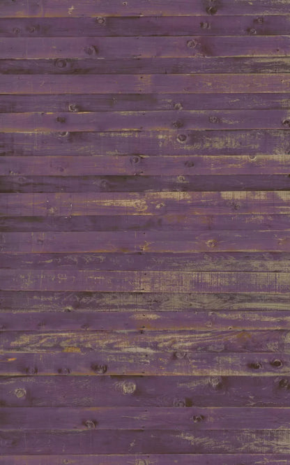 Border 9X14 Ultracloth ( 108 X 168 Inch ) Backdrop